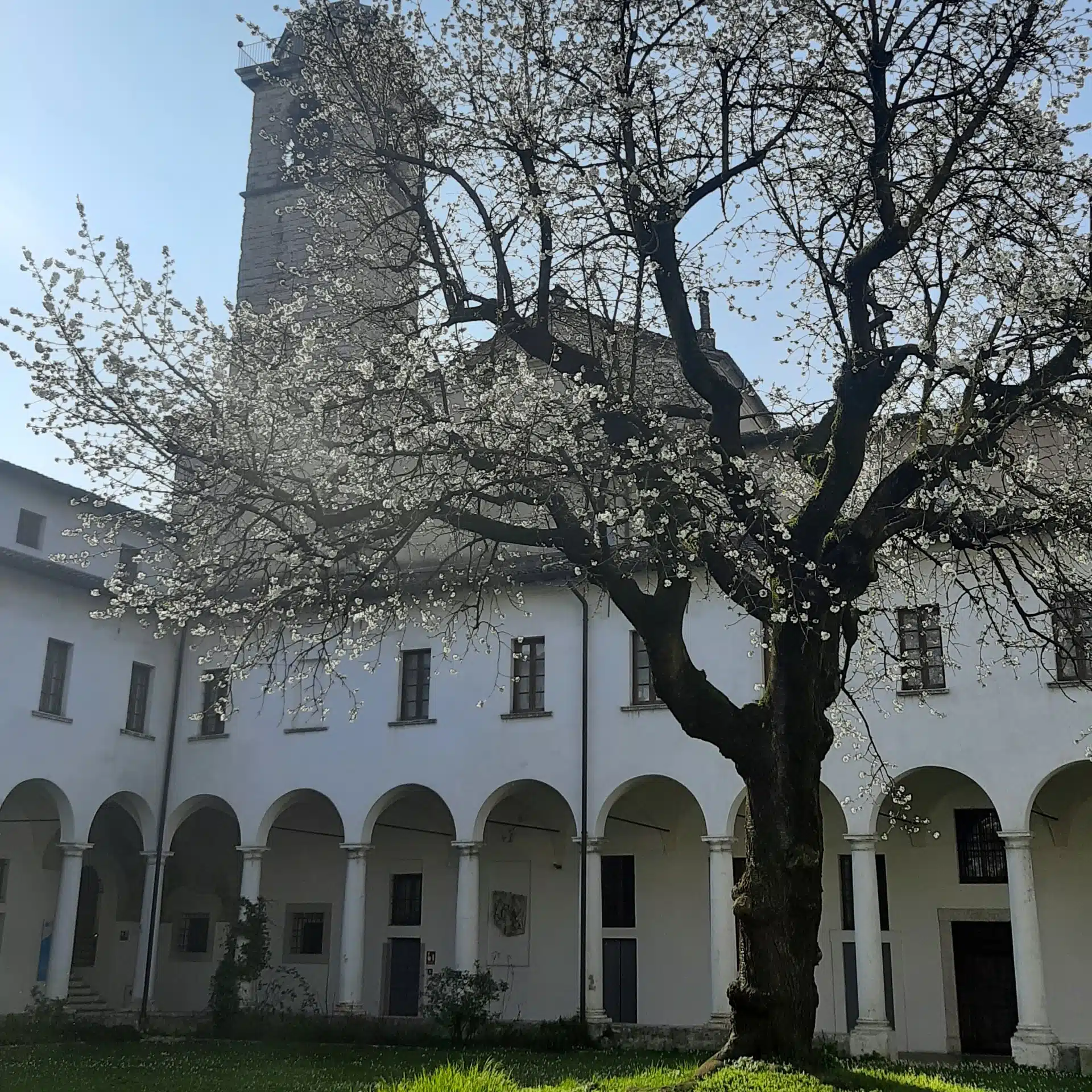 chiostro-maggiore-museo-diocesano-di-brescia chiostro museo diocesano brescia orari